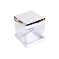 20.20.20 alt üst gümüş kutu iç asetat 